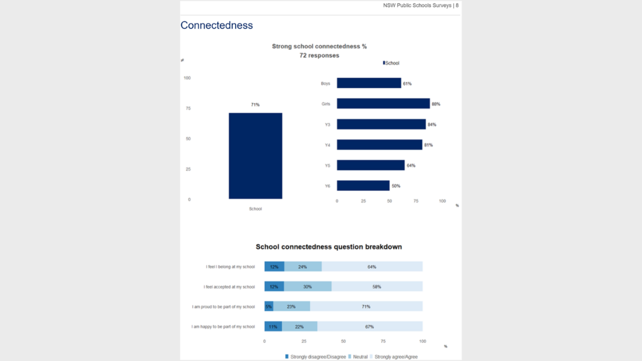 Screenshot of a page in the report which shows individual school survey results for connectedness measure.