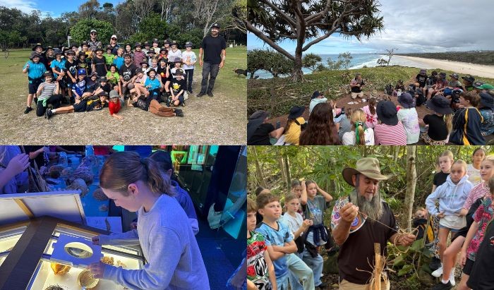 Four photos of NAIDOC Week activities featuring primary school students on beaches looking at Aboriginal artifacts in a museum and learning Aborigiinal bushcraft