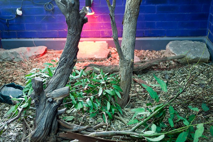 floor of an enclosure