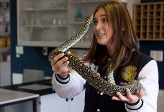 Additional information for teachers – animal management videos