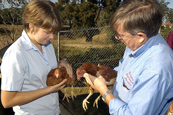 Animal welfare – student activities and worksheets