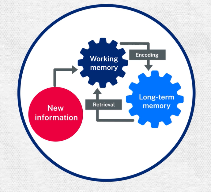 The image shows the process of encoding, where new information and prior knowledge combine in working memory and are stored in long-term memory. It also shows the process of retrieval, where knowledge is recalled from long-term memory and actively used.