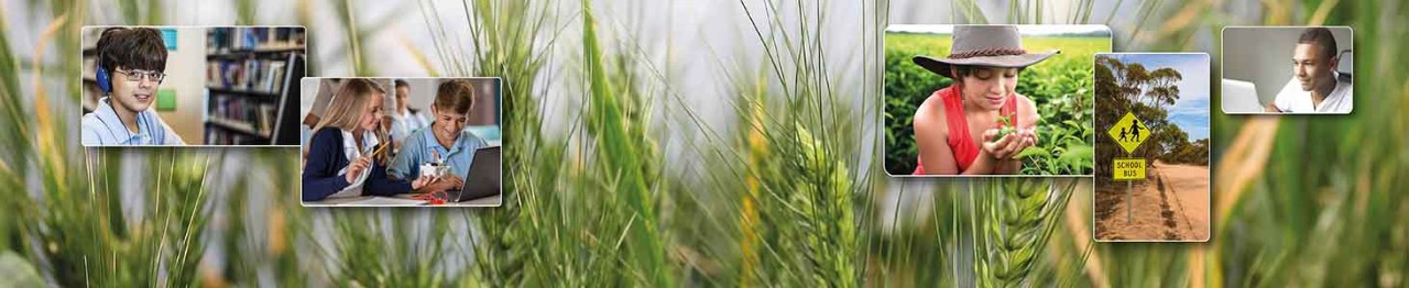 Various rural activities
