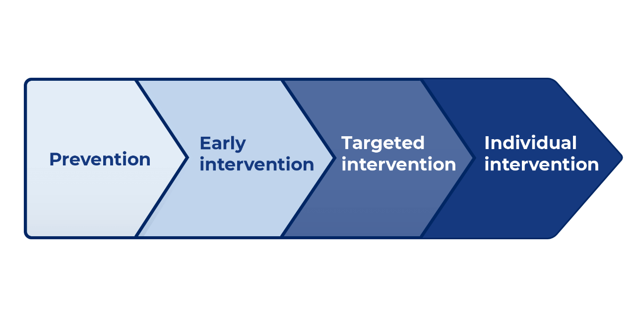 Image shows care continuum levels - prevention, early intervention, targeted intervention, individual intervention