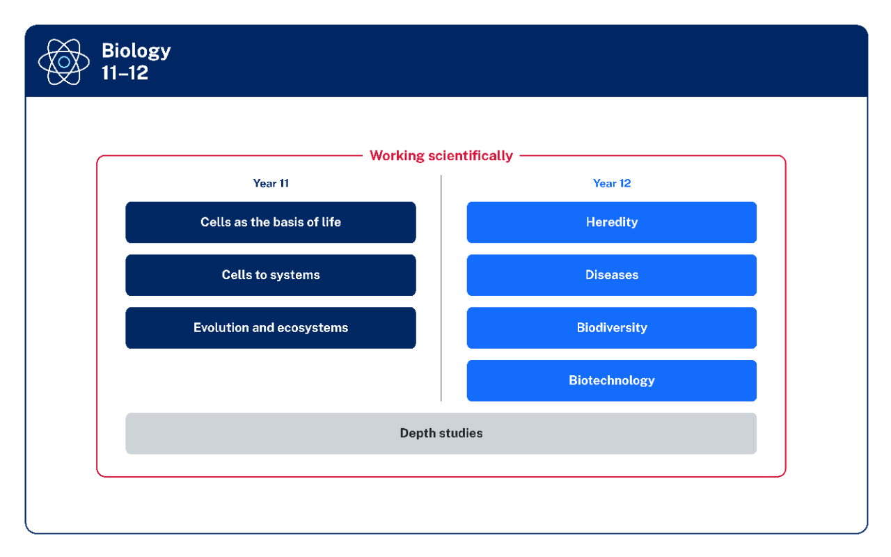 The focus areas are listed in 2 columns under the headings Year 11 and Year 12. The 3 focus areas for Year 11 are Cells as the basis of life, Cells to systems, and Evolution and ecosystems. The 4 focus areas for Year 12 are Heredity, Diseases, Biodiversity, and Biotechnology. Extending across the bottom of both columns is a rectangular box labelled Depth studies. A line labelled Working scientifically encircles all elements listed.
