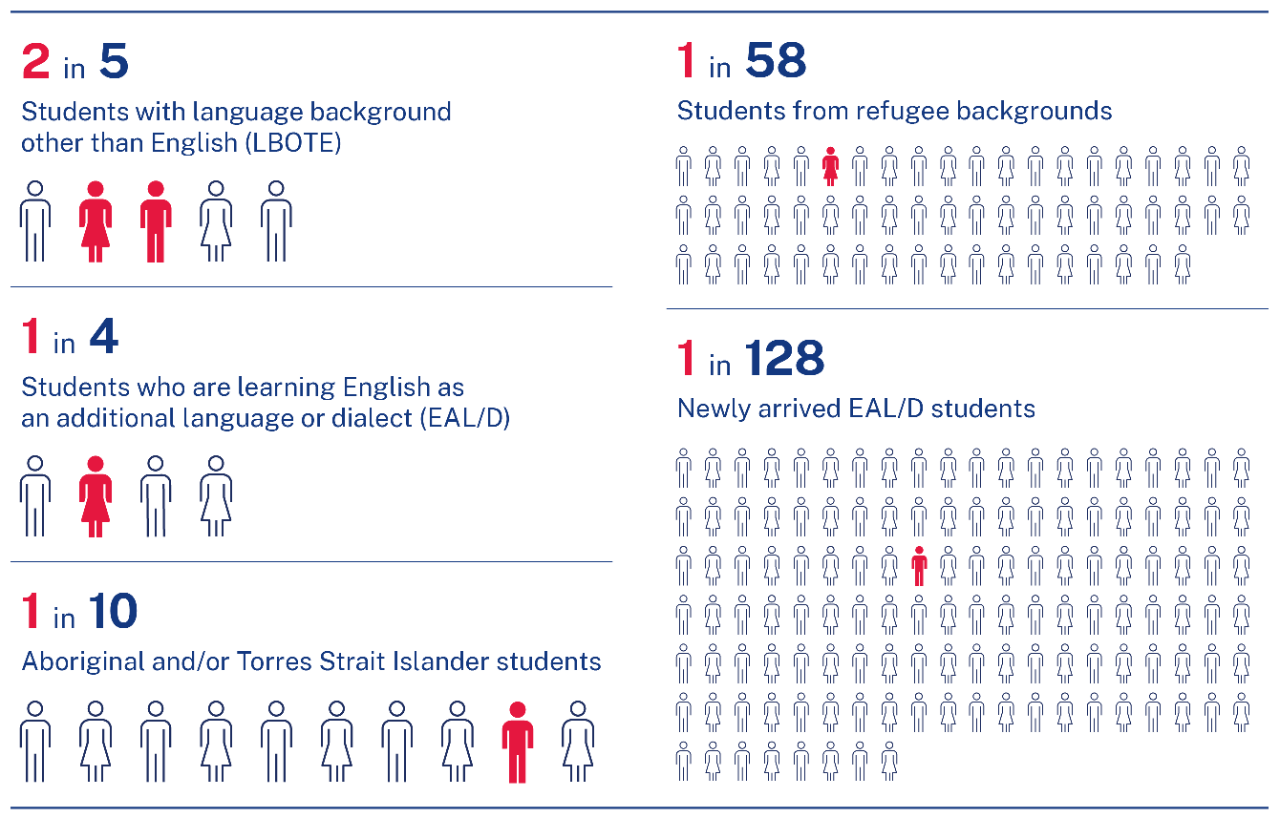 Infograhic showing the cultural and linguistic diversity of NSW public school students in 2025