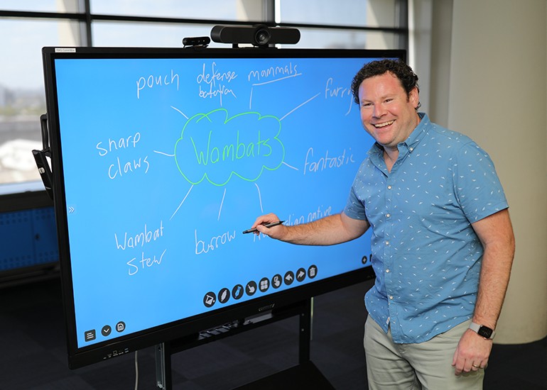 Main Learning Displays (MLDs)