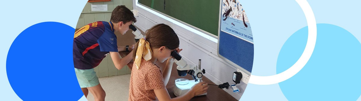 Students using a microscope