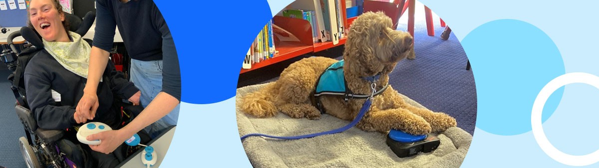Student with a disability being supported in the classroom, and a second image of Ziggy an onsite therapy dog.